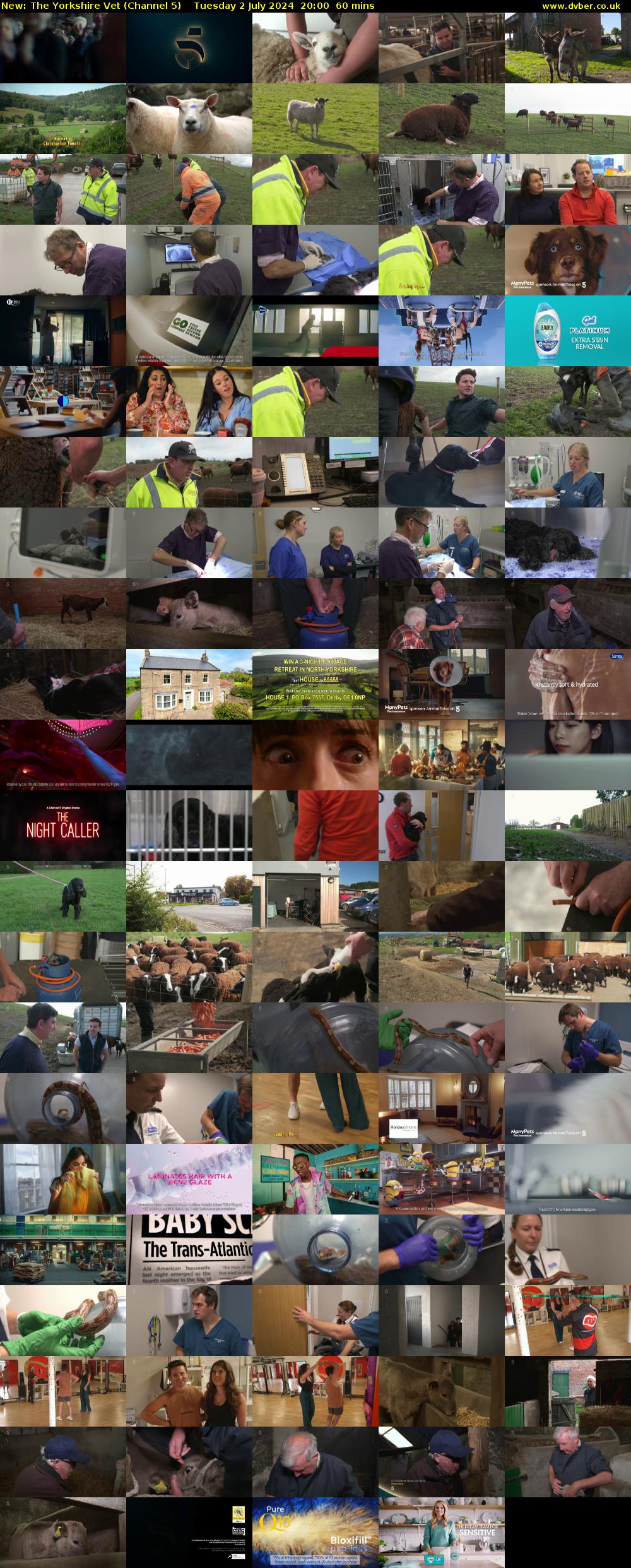 The Yorkshire Vet (Channel 5) Tuesday 2 July 2024 20:00 - 21:00