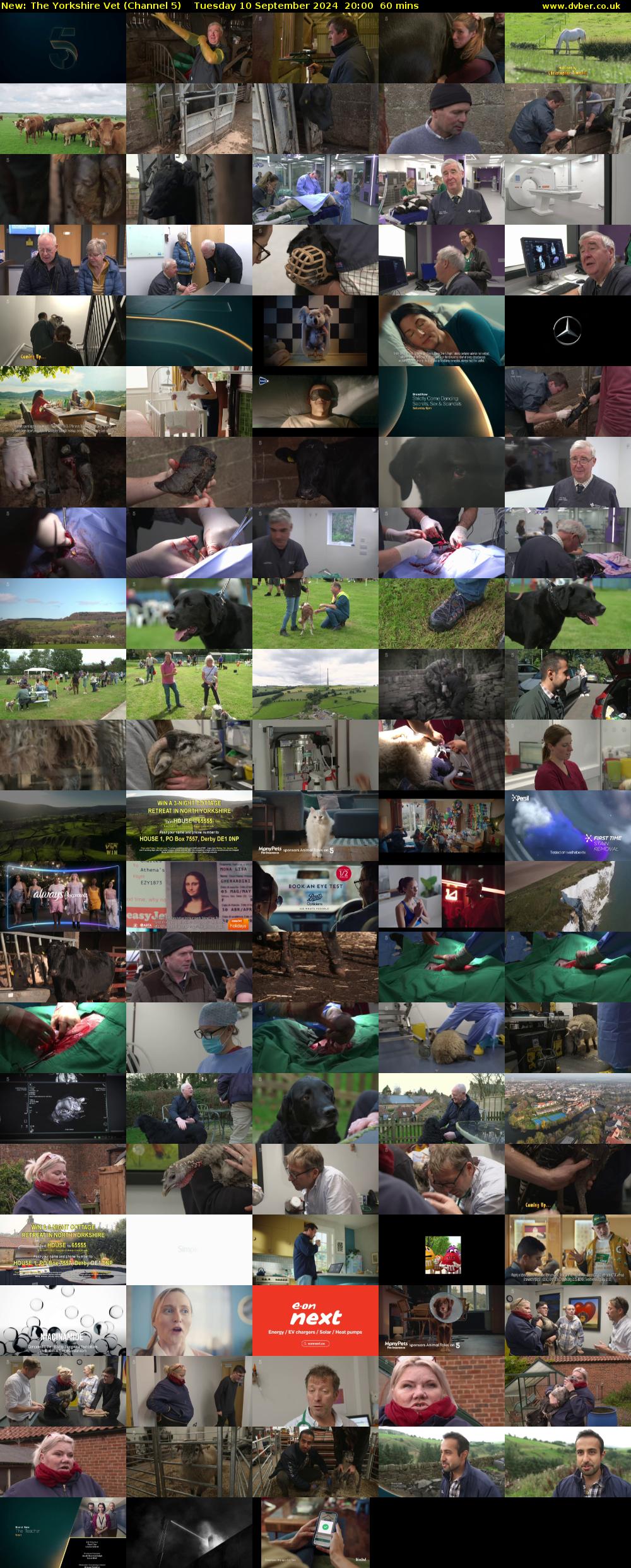 The Yorkshire Vet (Channel 5) Tuesday 10 September 2024 20:00 - 21:00