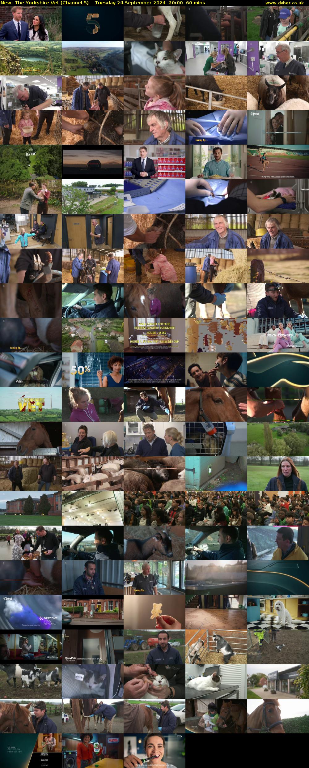 The Yorkshire Vet (Channel 5) Tuesday 24 September 2024 20:00 - 21:00