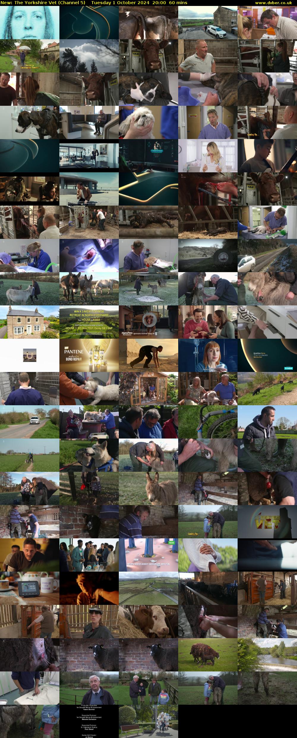 The Yorkshire Vet (Channel 5) Tuesday 1 October 2024 20:00 - 21:00