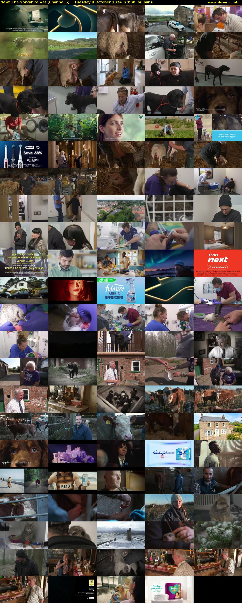 The Yorkshire Vet (Channel 5) Tuesday 8 October 2024 20:00 - 21:00