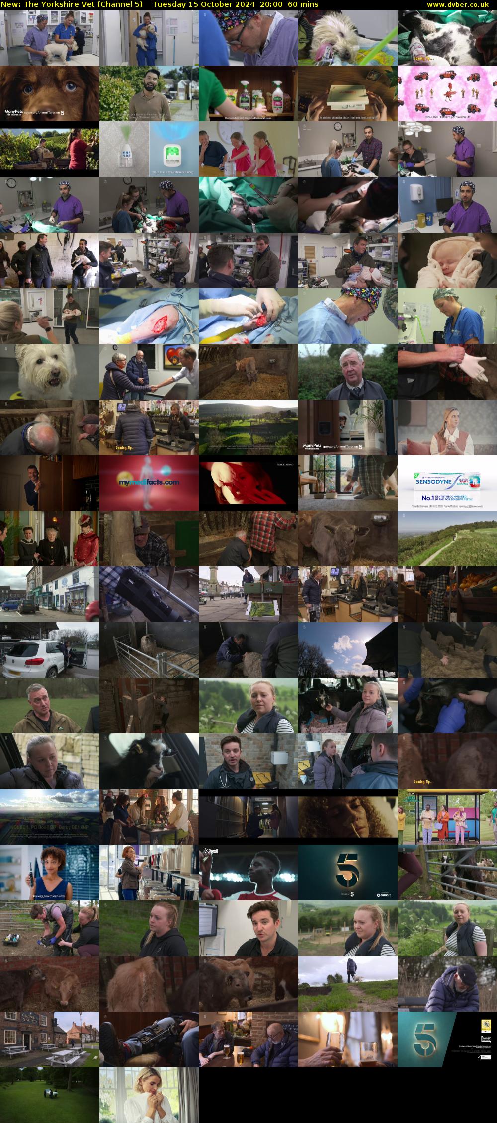 The Yorkshire Vet (Channel 5) Tuesday 15 October 2024 20:00 - 21:00