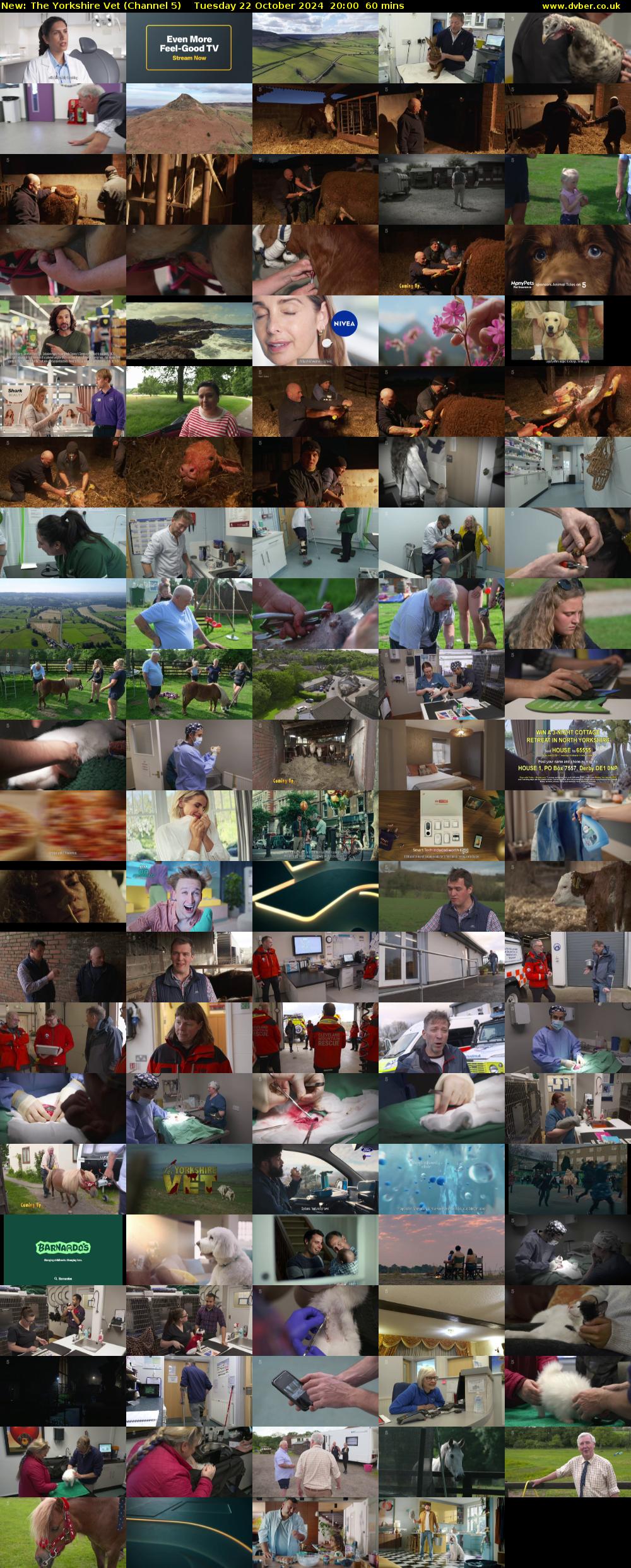 The Yorkshire Vet (Channel 5) Tuesday 22 October 2024 20:00 - 21:00