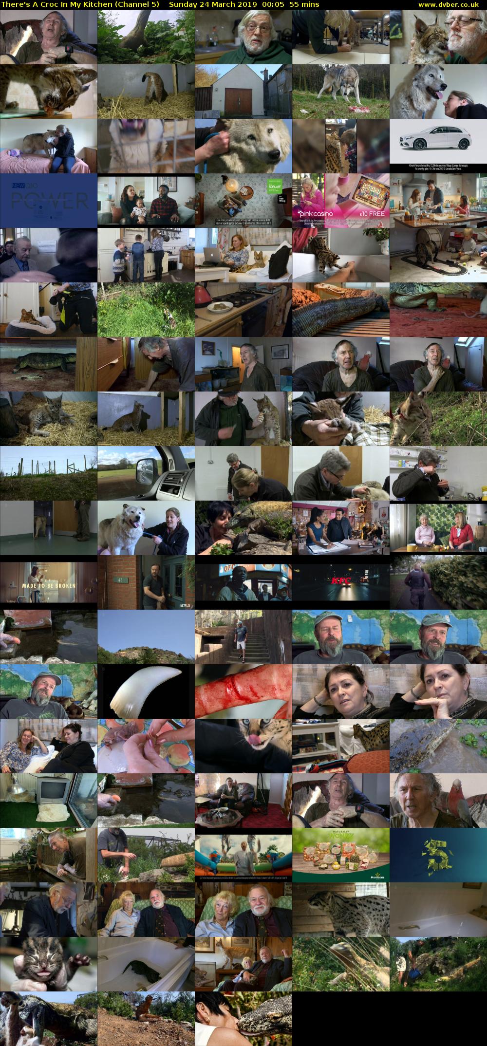 There's A Croc In My Kitchen (Channel 5) Sunday 24 March 2019 00:05 - 01:00