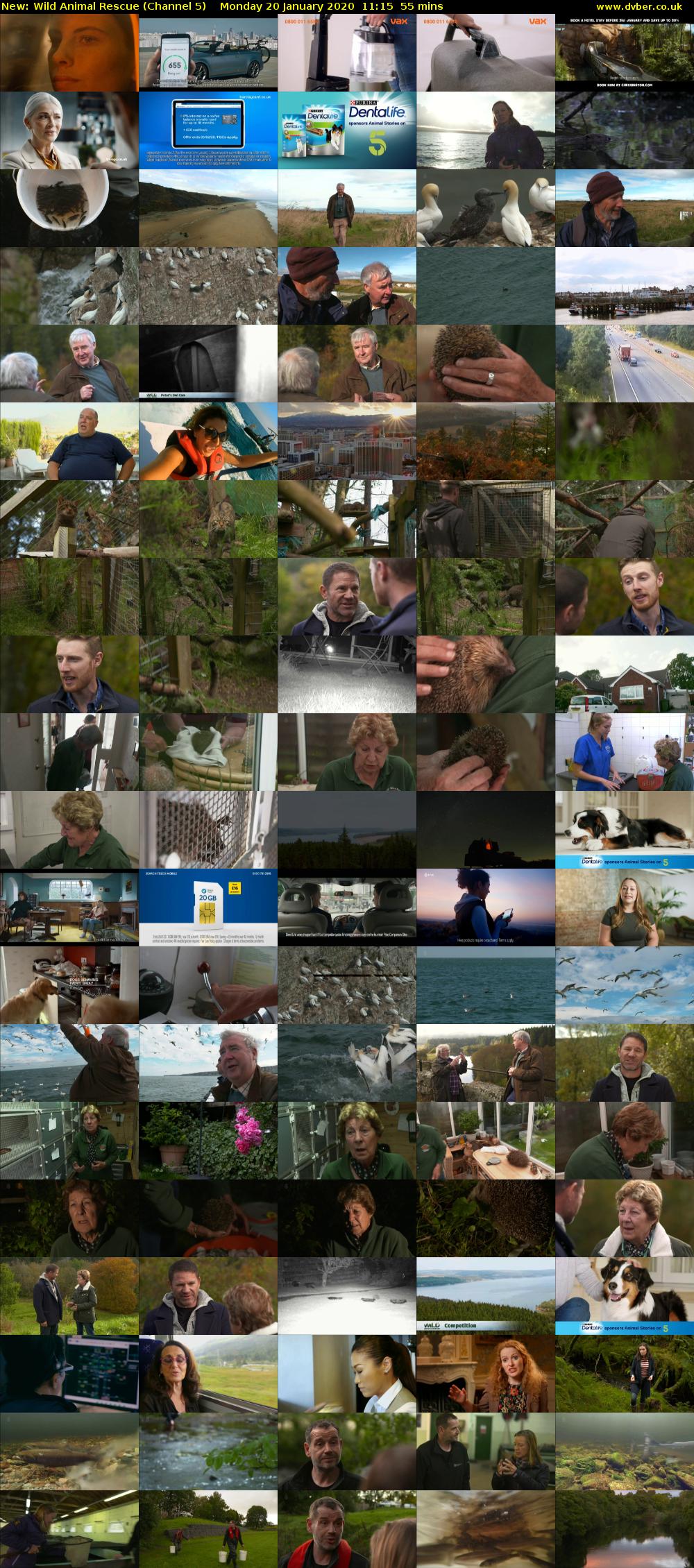 Wild Animal Rescue (Channel 5) Monday 20 January 2020 11:15 - 12:10