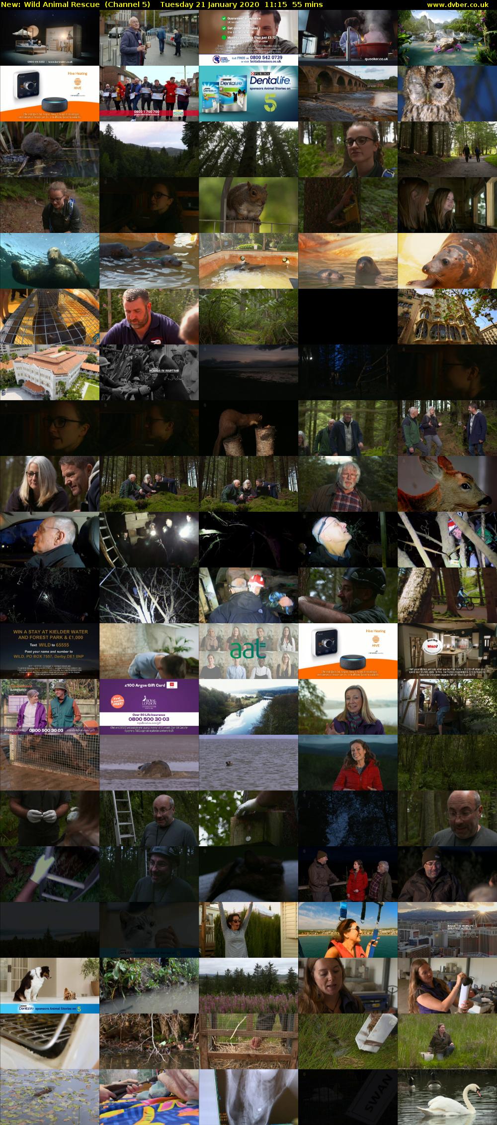Wild Animal Rescue (Channel 5) Tuesday 21 January 2020 11:15 - 12:10