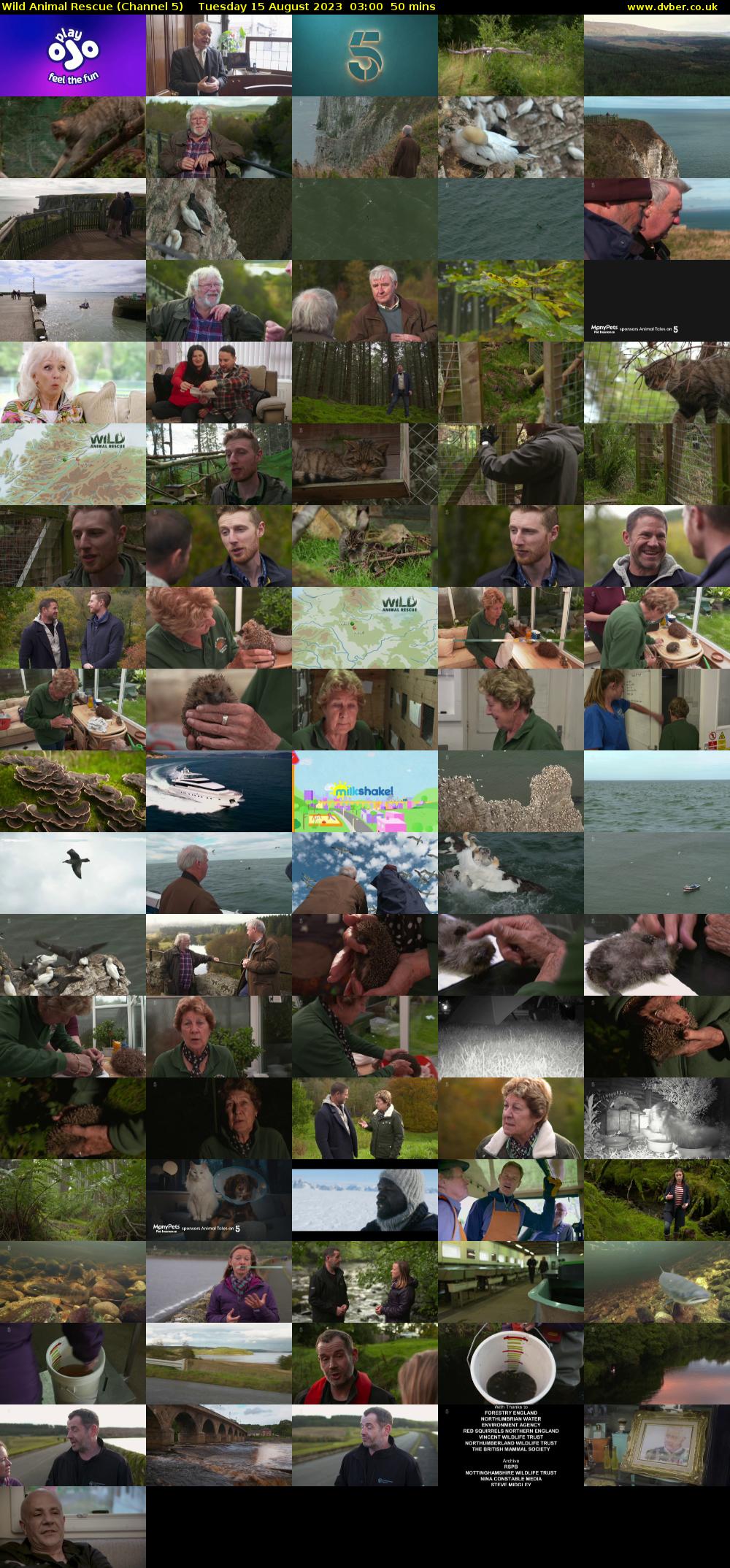 Wild Animal Rescue (Channel 5) Tuesday 15 August 2023 03:00 - 03:50