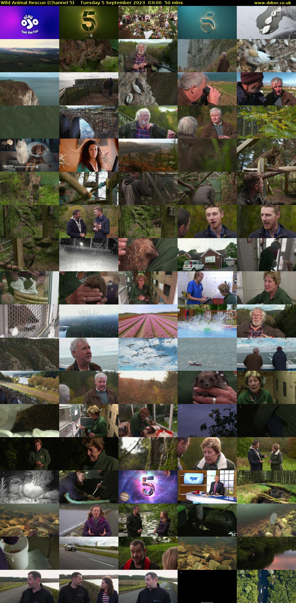 Wild Animal Rescue (Channel 5) Tuesday 5 September 2023 03:00 - 03:50