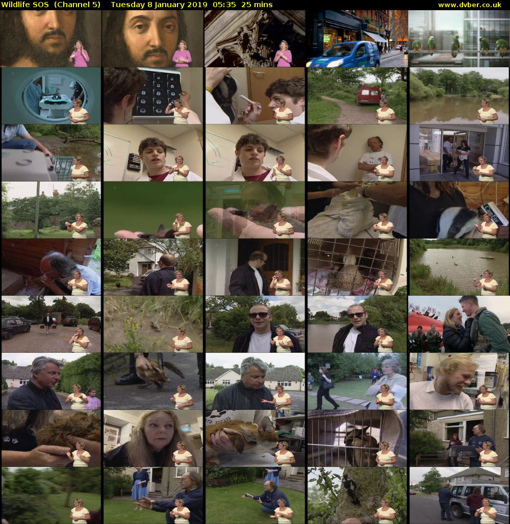 Wildlife SOS  (Channel 5) Tuesday 8 January 2019 05:35 - 06:00