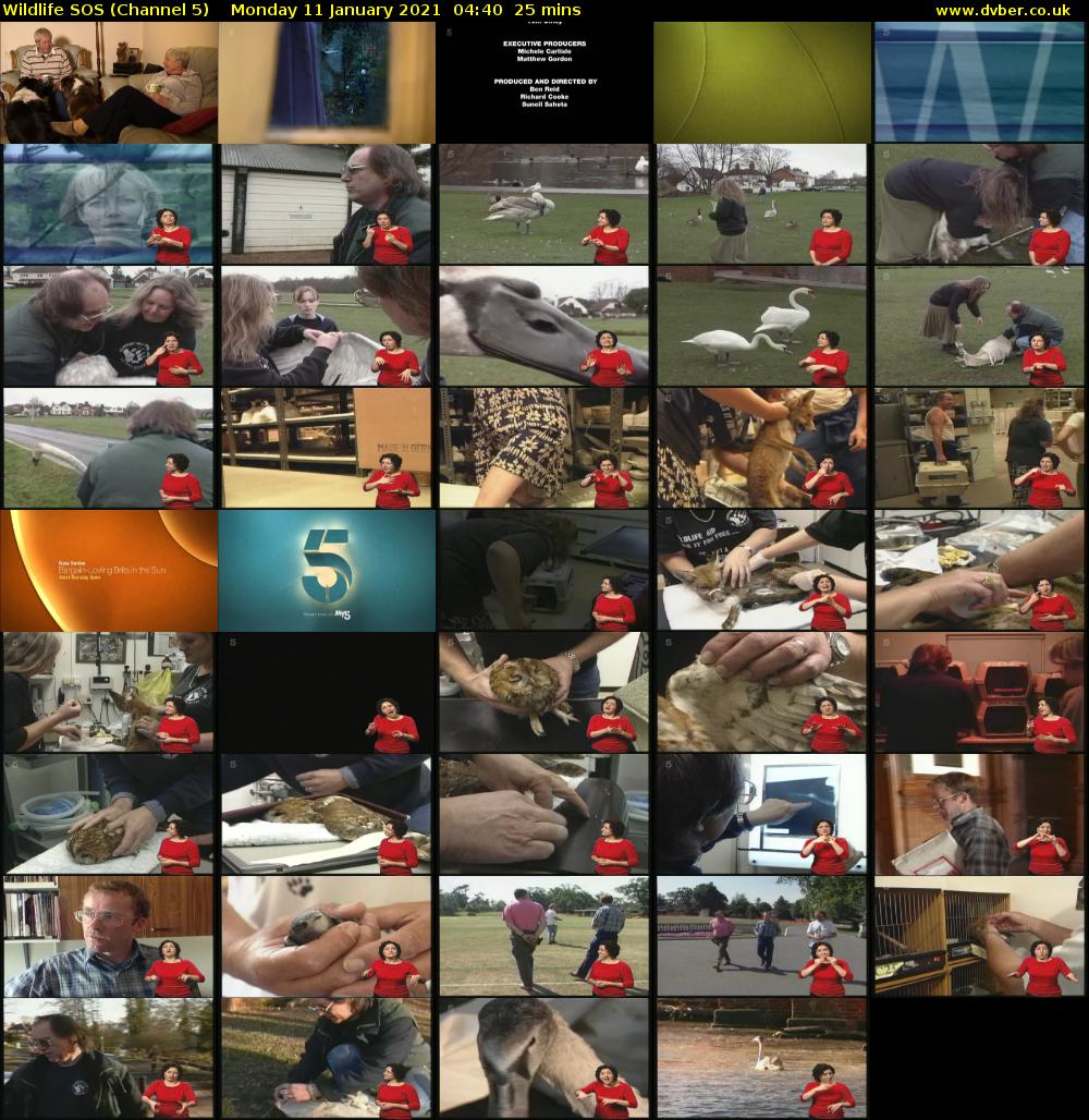 Wildlife SOS (Channel 5) Monday 11 January 2021 04:40 - 05:05