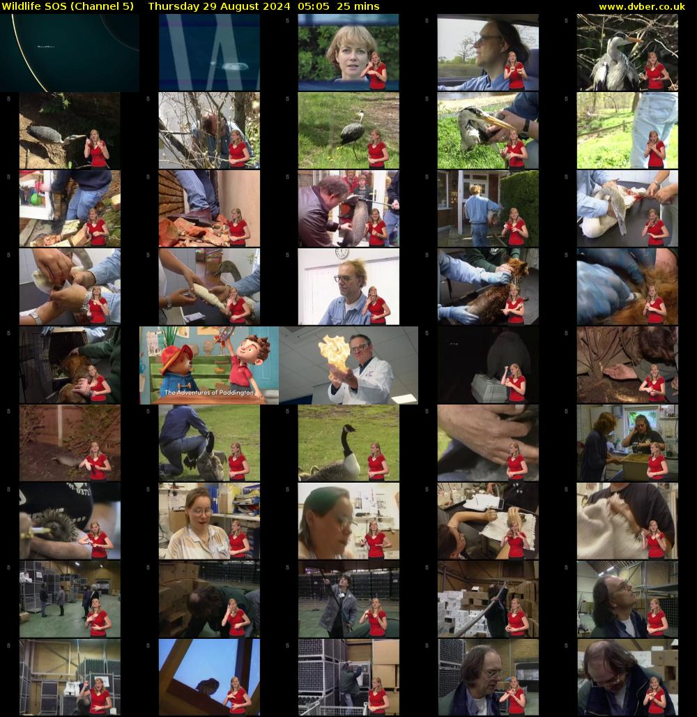 Wildlife SOS (Channel 5) Thursday 29 August 2024 05:05 - 05:30