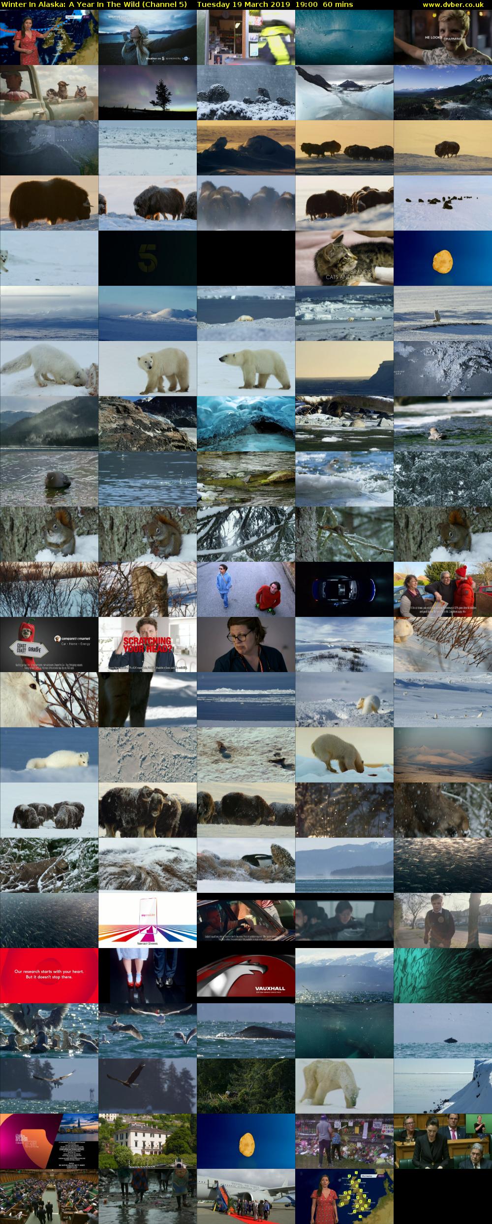 Winter In Alaska: A Year In The Wild (Channel 5) Tuesday 19 March 2019 19:00 - 20:00