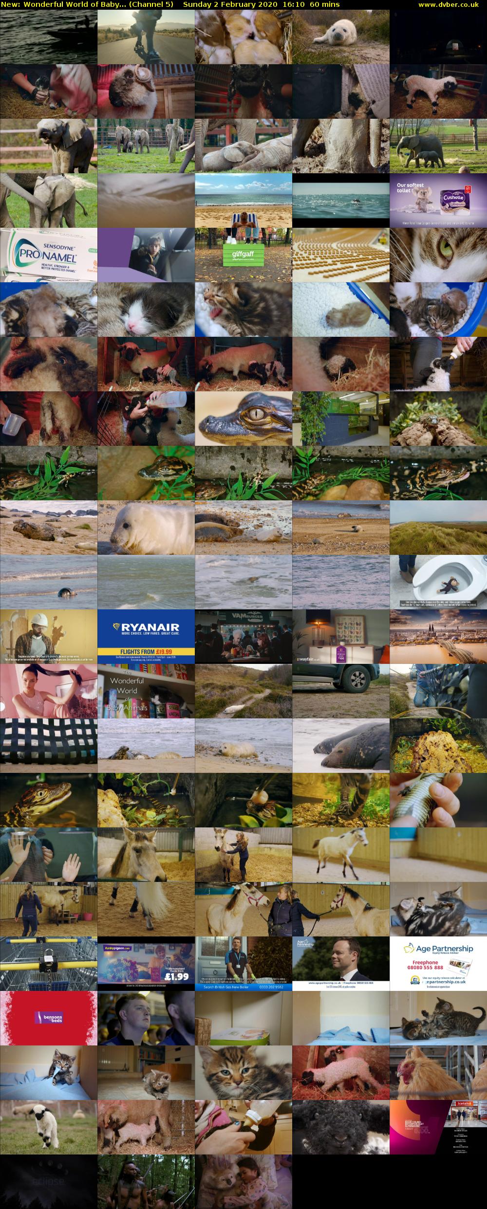 Wonderful World of Baby... (Channel 5) Sunday 2 February 2020 16:10 - 17:10