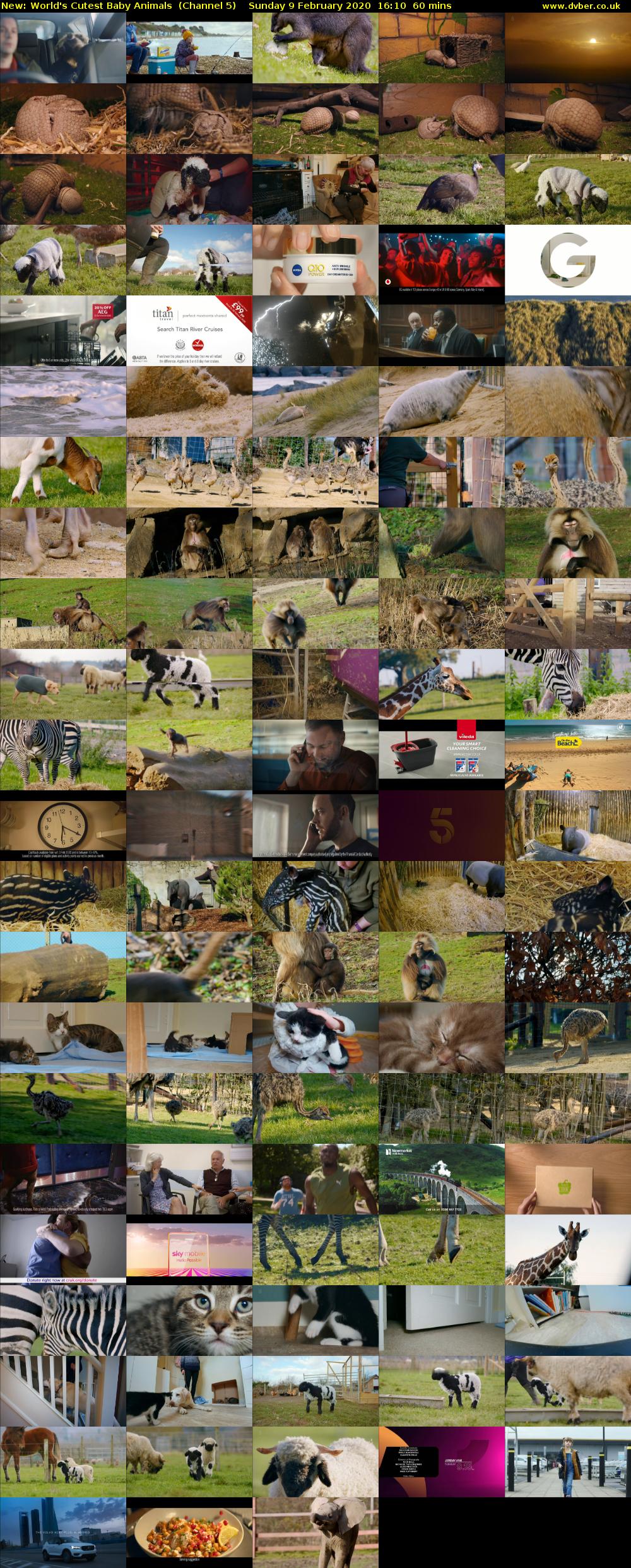 World's Cutest Baby Animals (Channel 5) Sunday 9 February 2020 16:10 - 17:10