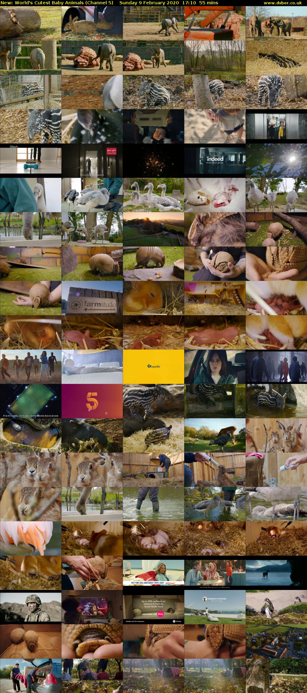 World's Cutest Baby Animals (Channel 5) Sunday 9 February 2020 17:10 - 18:05