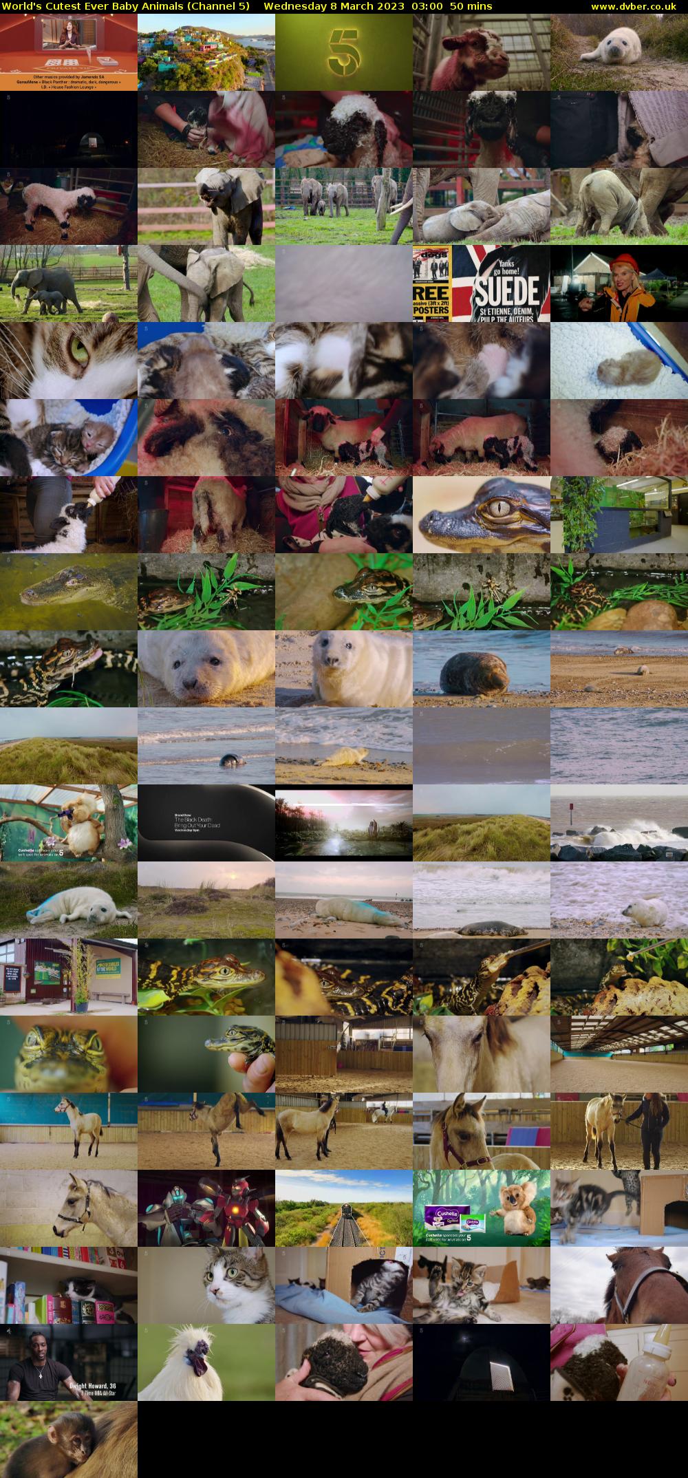 World's Cutest Ever Baby Animals (Channel 5) Wednesday 8 March 2023 03:00 - 03:50