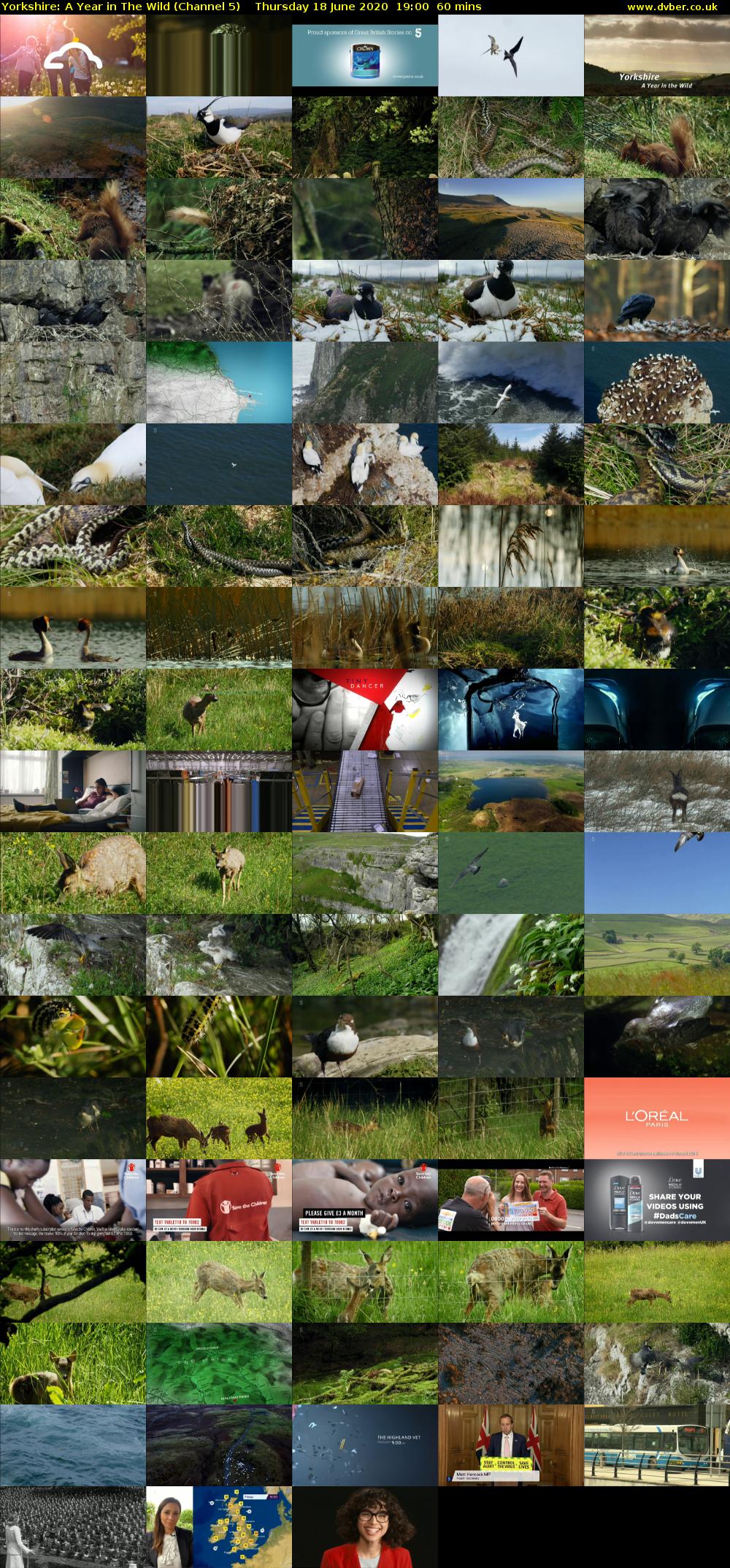 Yorkshire: A Year in The Wild (Channel 5) Thursday 18 June 2020 19:00 - 20:00