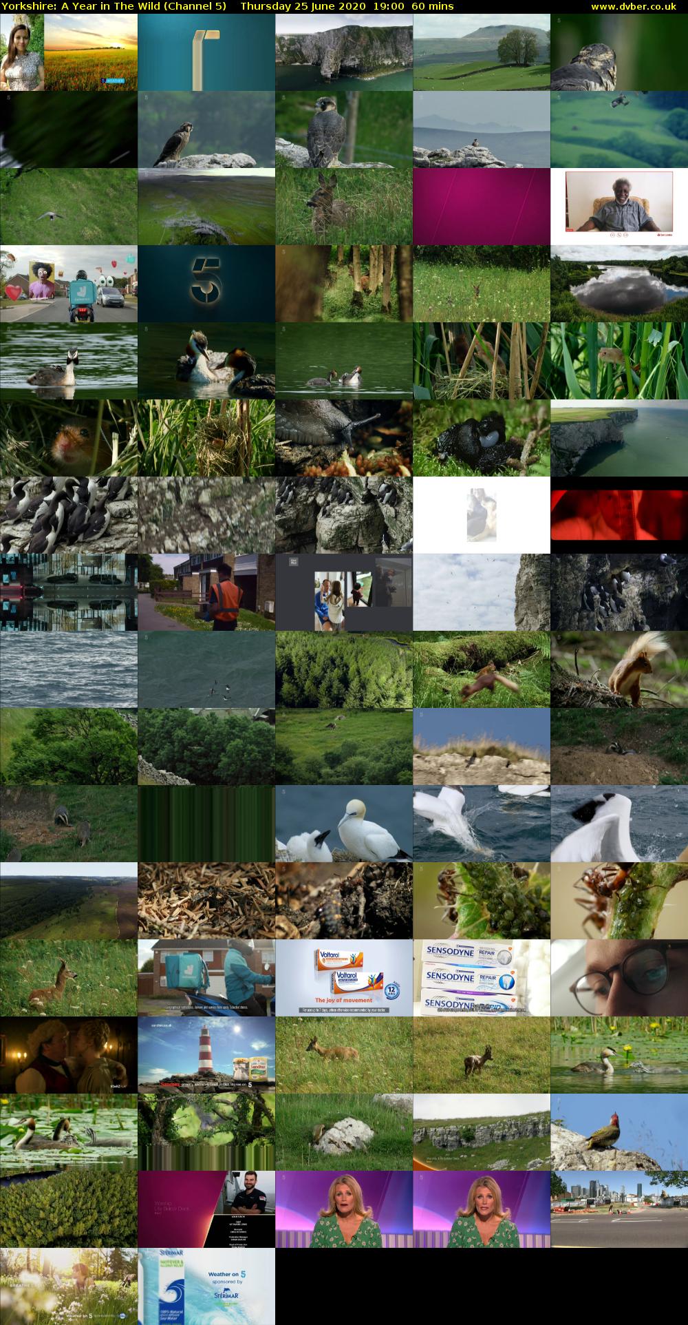 Yorkshire: A Year in The Wild (Channel 5) Thursday 25 June 2020 19:00 - 20:00