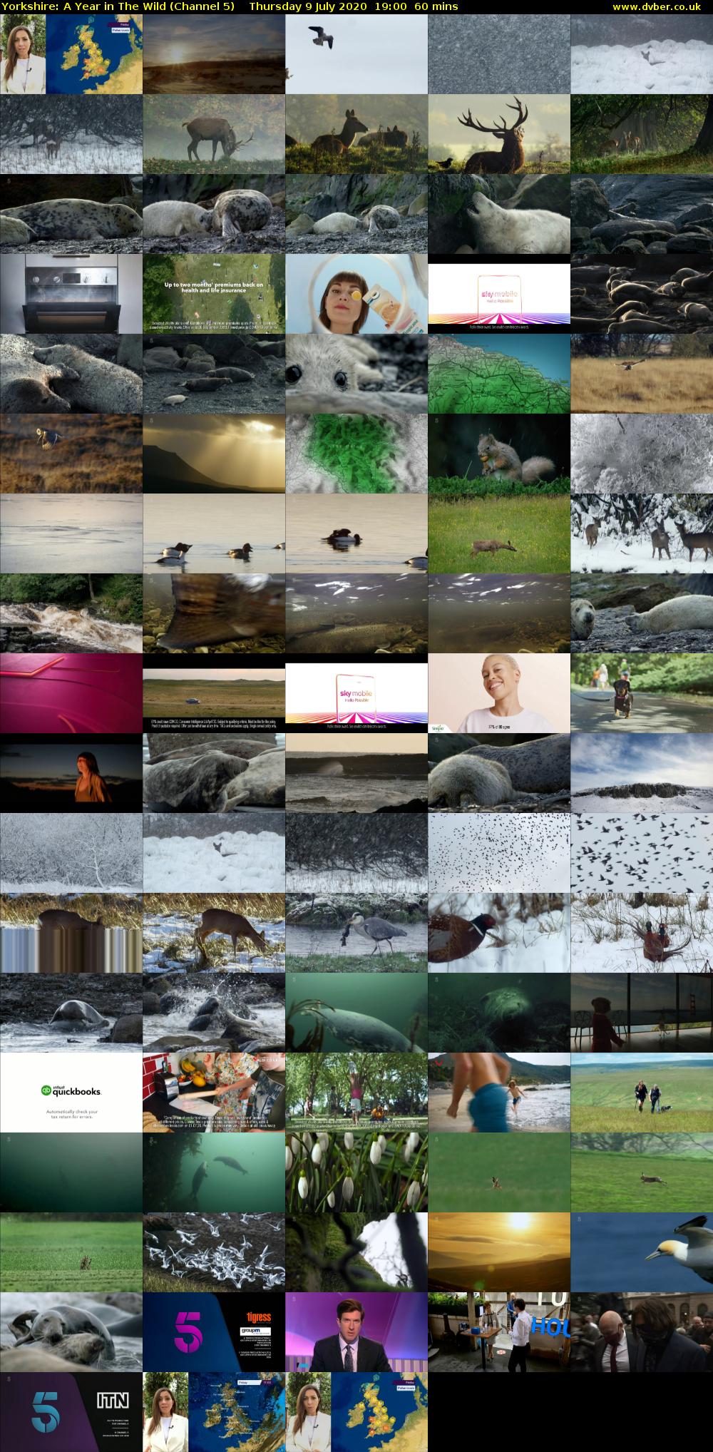 Yorkshire: A Year in The Wild (Channel 5) Thursday 9 July 2020 19:00 - 20:00