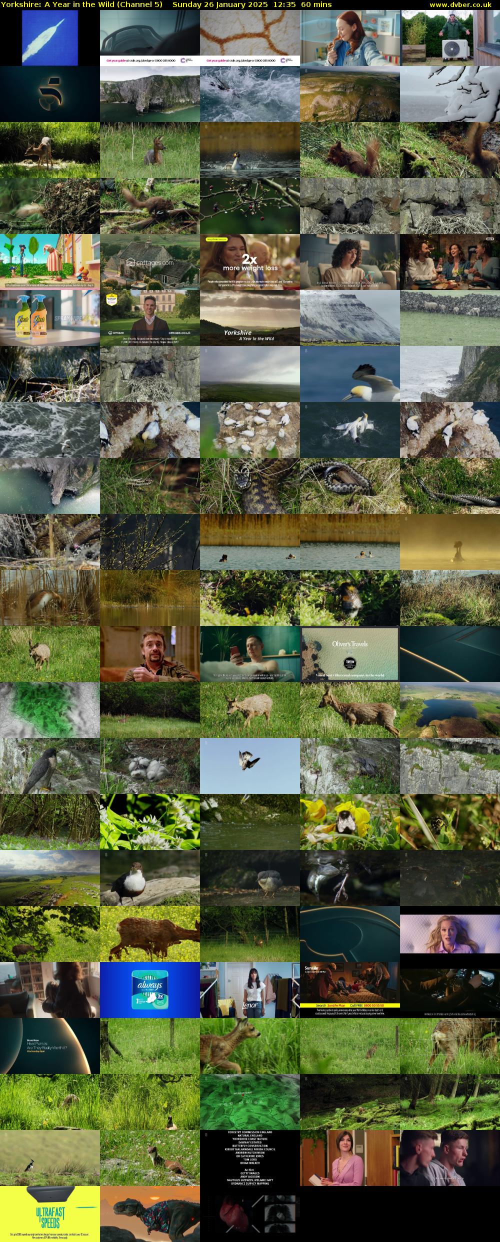 Yorkshire: A Year in The Wild (Channel 5) Sunday 26 January 2025 12:35 - 13:35