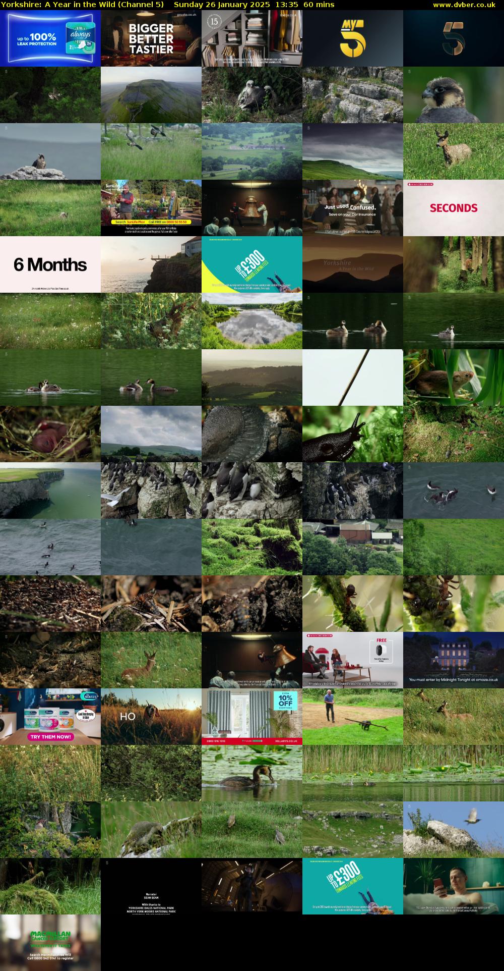 Yorkshire: A Year in The Wild (Channel 5) Sunday 26 January 2025 13:35 - 14:35