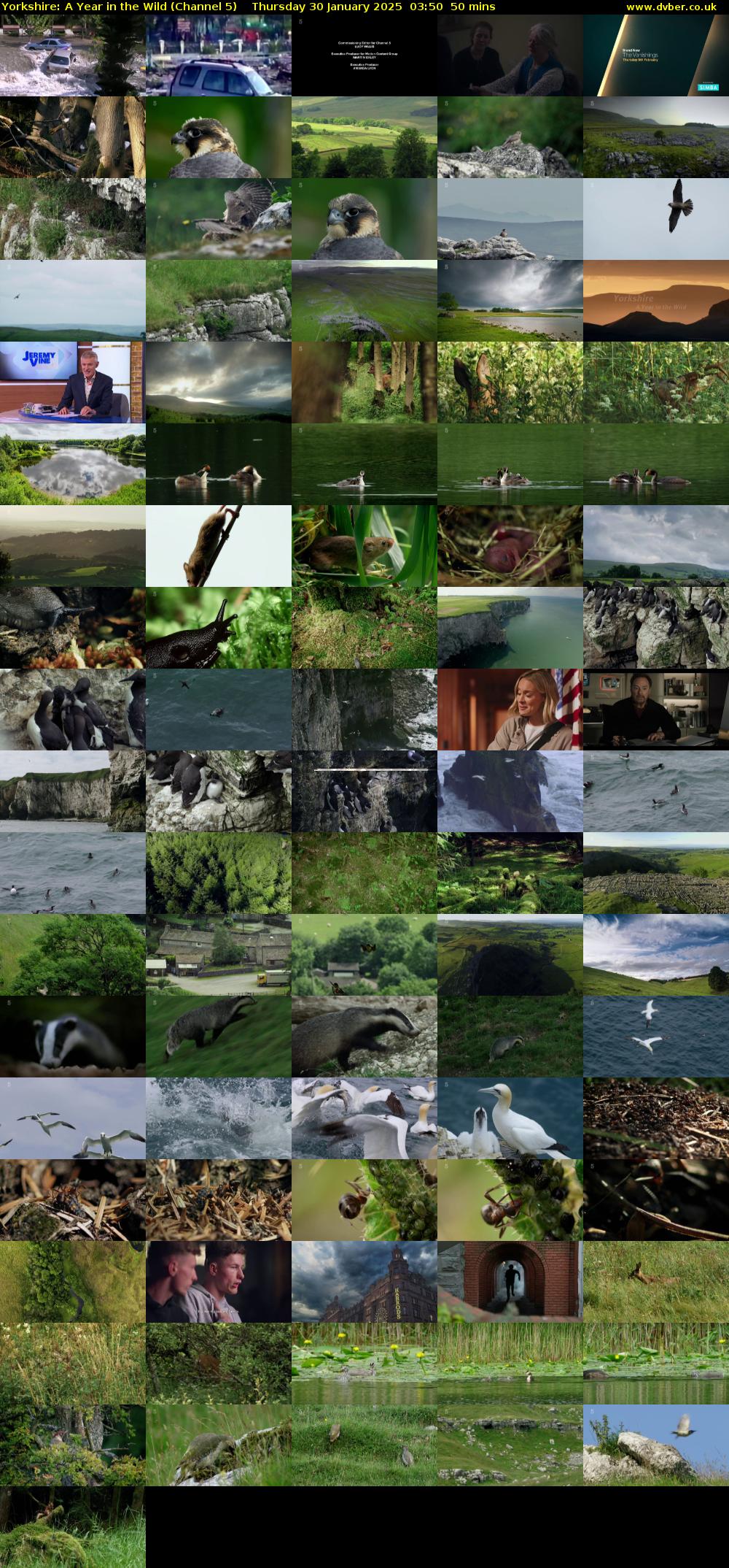 Yorkshire: A Year in The Wild (Channel 5) Thursday 30 January 2025 03:50 - 04:40
