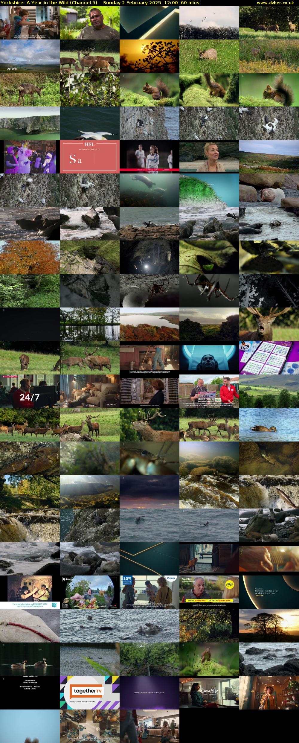 Yorkshire: A Year in The Wild (Channel 5) Sunday 2 February 2025 12:00 - 13:00