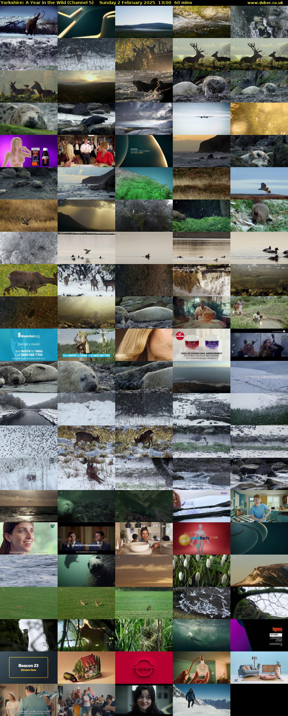 Yorkshire: A Year in The Wild (Channel 5) Sunday 2 February 2025 13:00 - 14:00