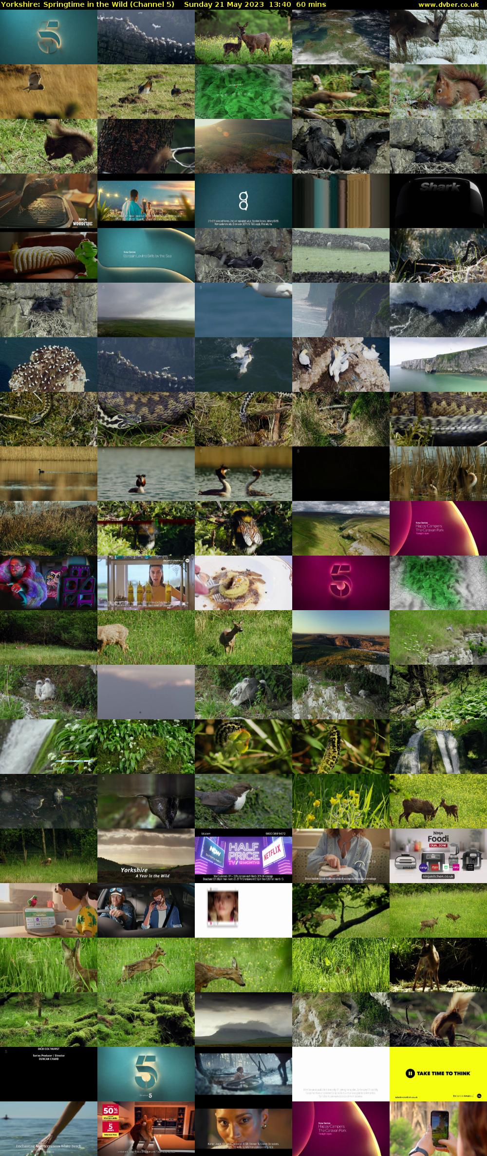 Yorkshire: Springtime in the Wild (Channel 5) Sunday 21 May 2023 13:40 - 14:40