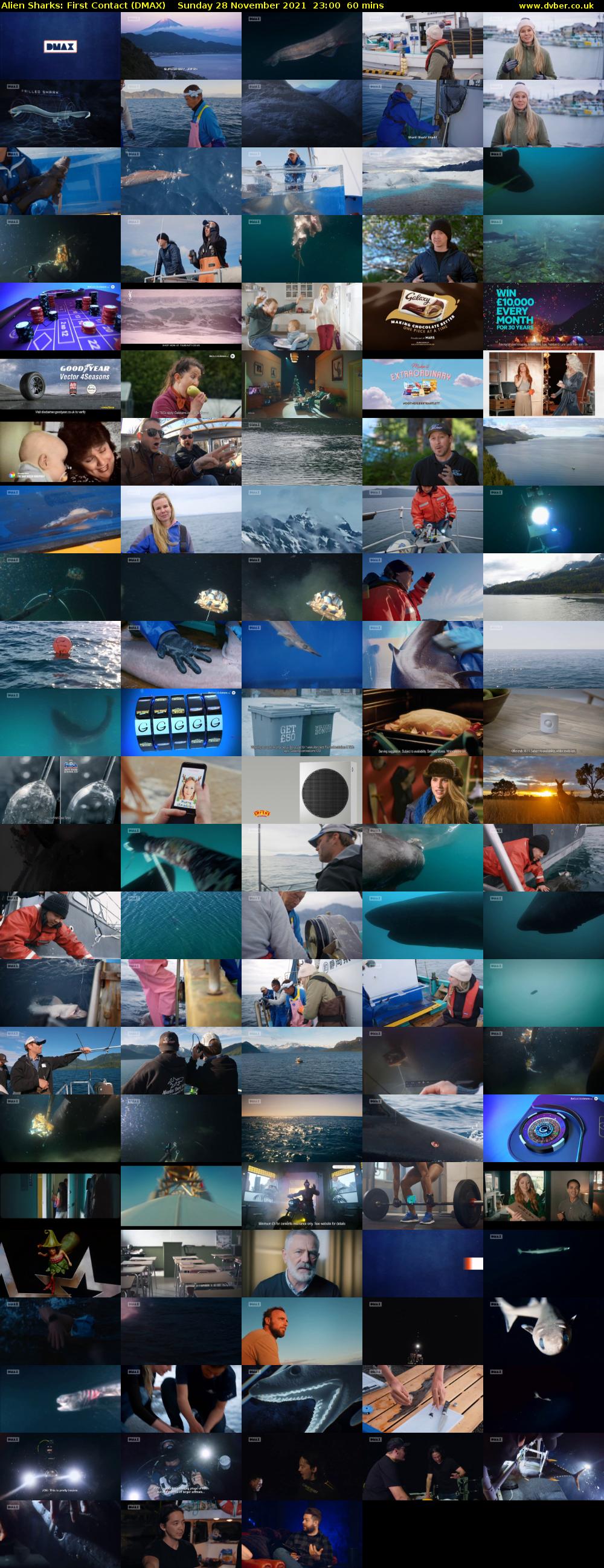 Alien Sharks: First Contact (DMAX) Sunday 28 November 2021 23:00 - 00:00