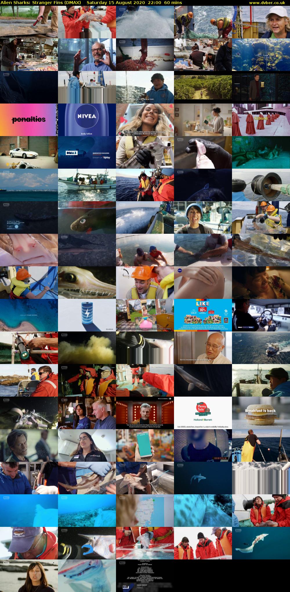 Alien Sharks: Stranger Fins (DMAX) Saturday 15 August 2020 22:00 - 23:00