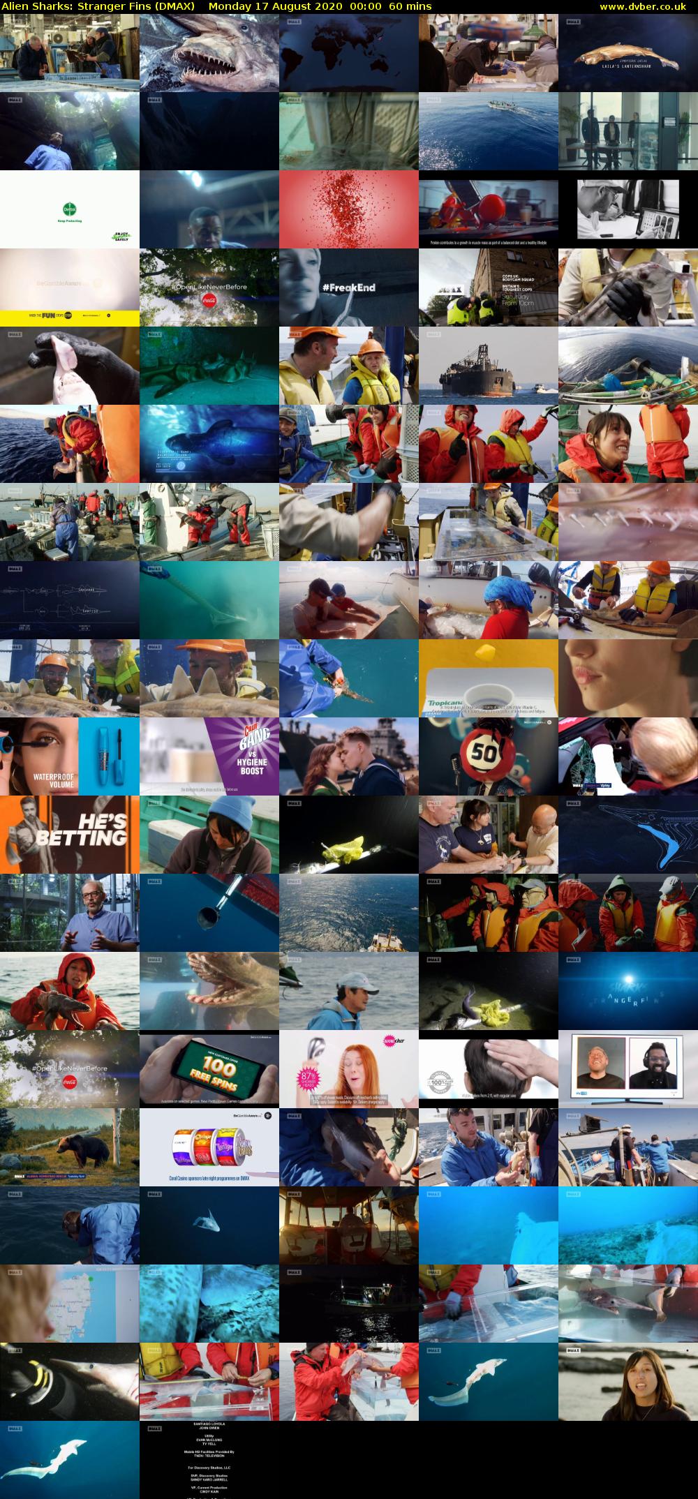Alien Sharks: Stranger Fins (DMAX) Monday 17 August 2020 00:00 - 01:00