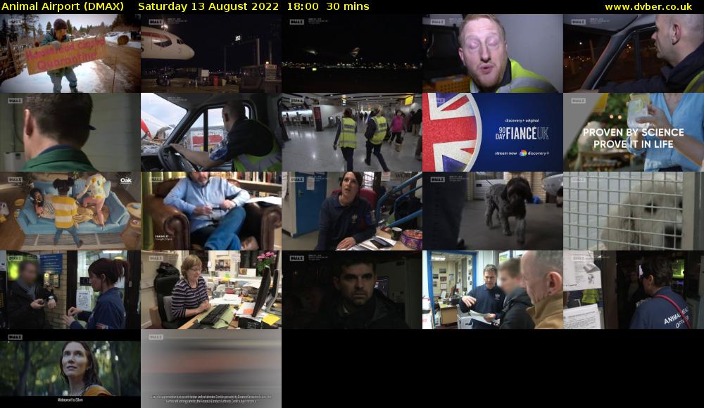 Animal Airport (DMAX) Saturday 13 August 2022 18:00 - 18:30