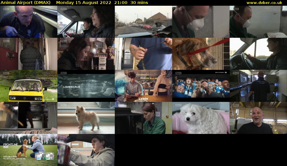Animal Airport (DMAX) Monday 15 August 2022 21:00 - 21:30