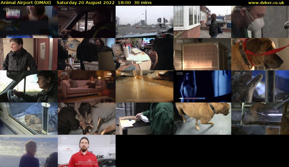 Animal Airport (DMAX) Saturday 20 August 2022 18:00 - 18:30
