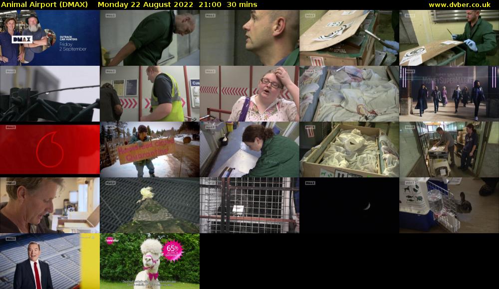 Animal Airport (DMAX) Monday 22 August 2022 21:00 - 21:30