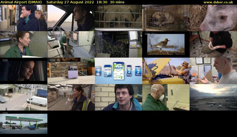 Animal Airport (DMAX) Saturday 27 August 2022 18:30 - 19:00