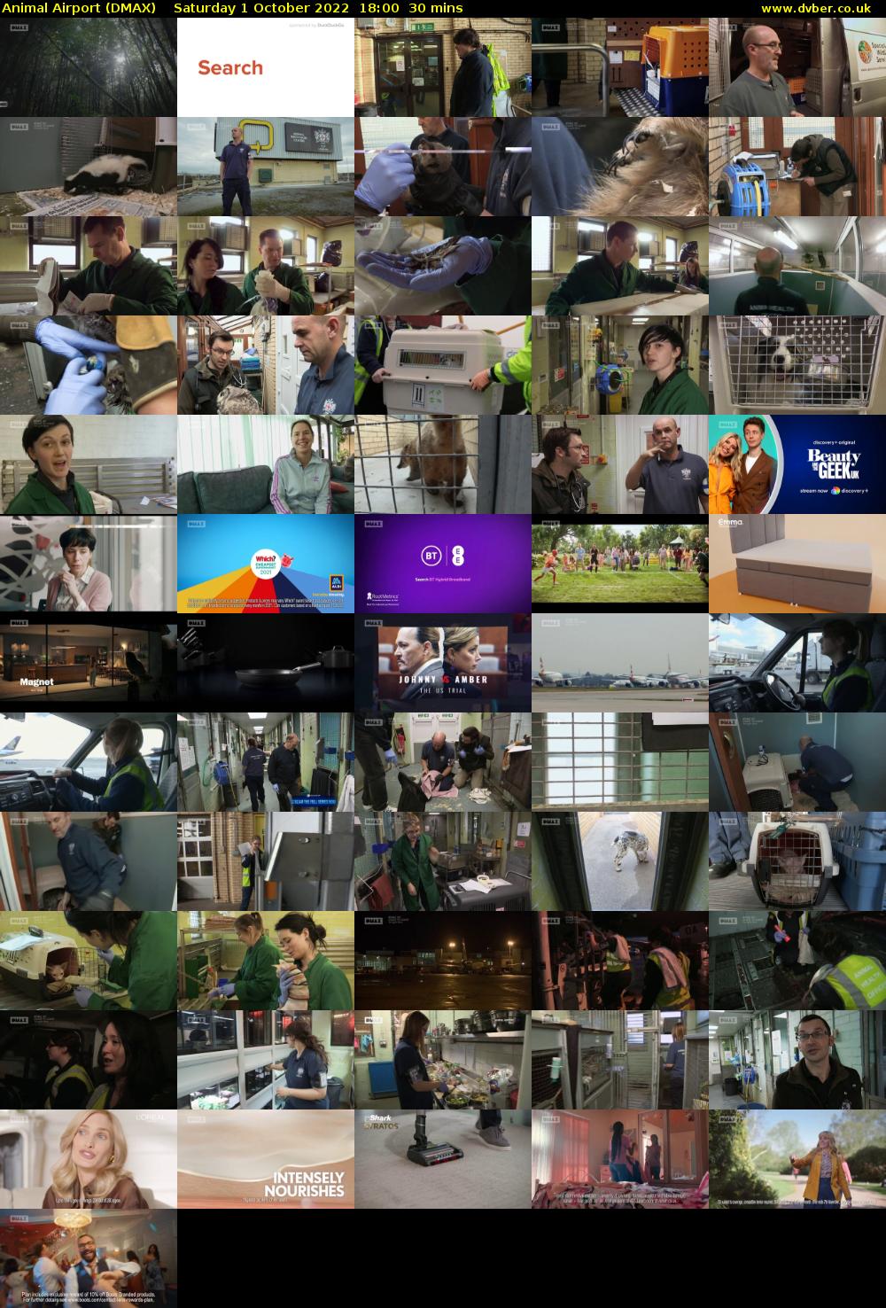 Animal Airport (DMAX) Saturday 1 October 2022 18:00 - 18:30