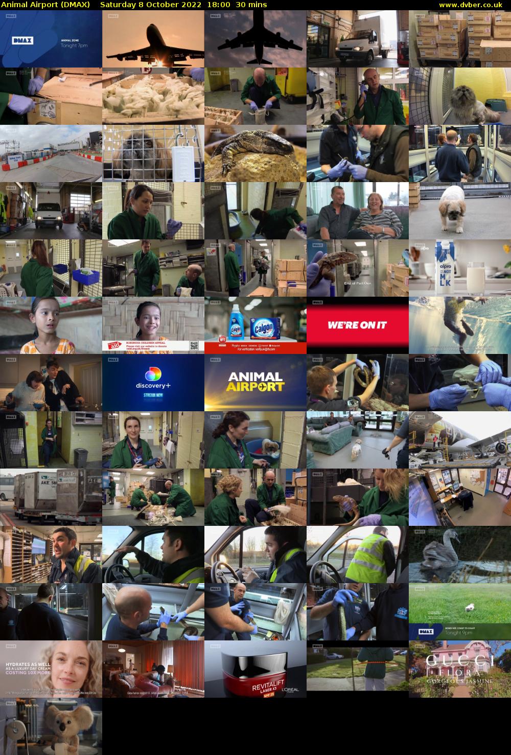 Animal Airport (DMAX) Saturday 8 October 2022 18:00 - 18:30