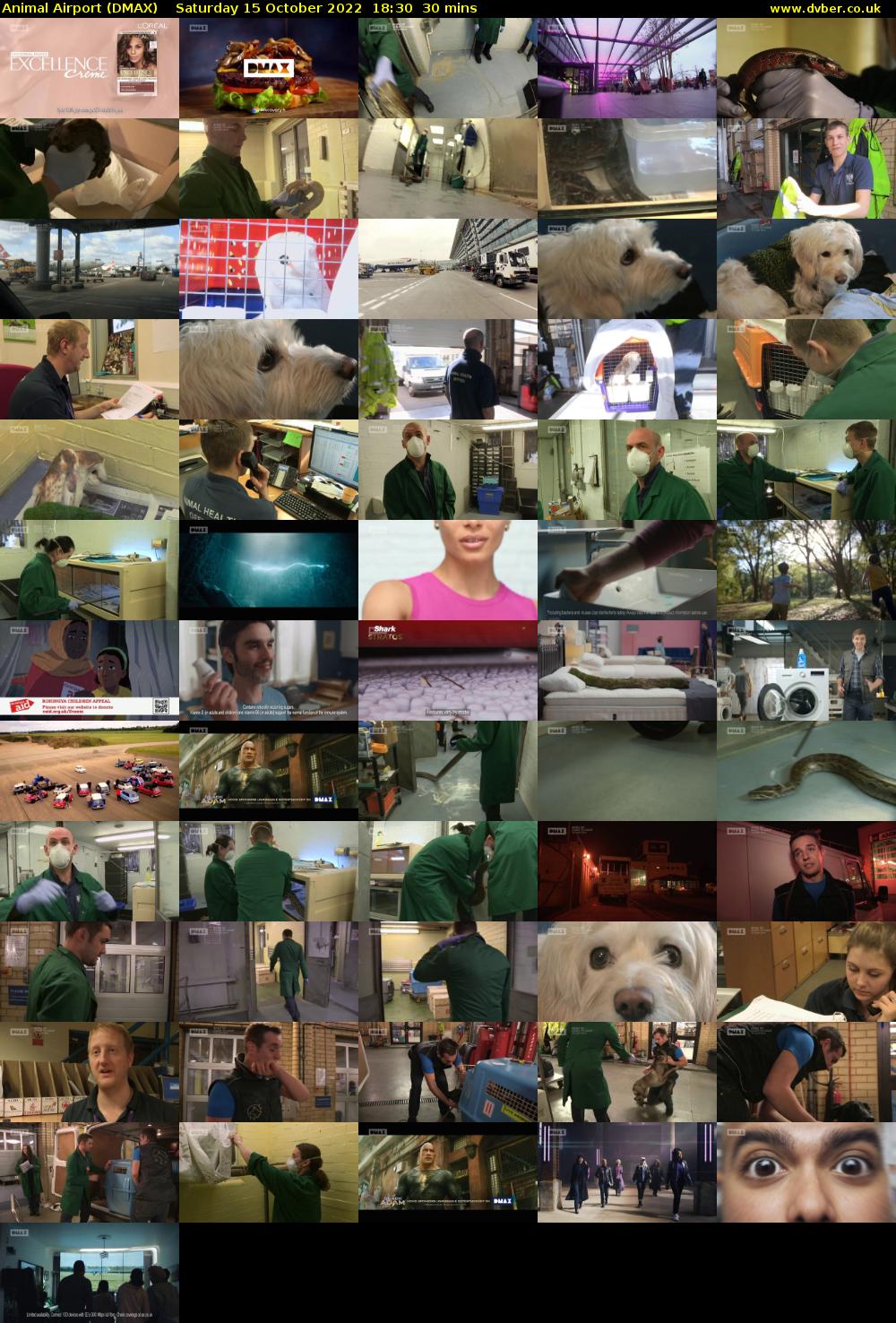 Animal Airport (DMAX) Saturday 15 October 2022 18:30 - 19:00