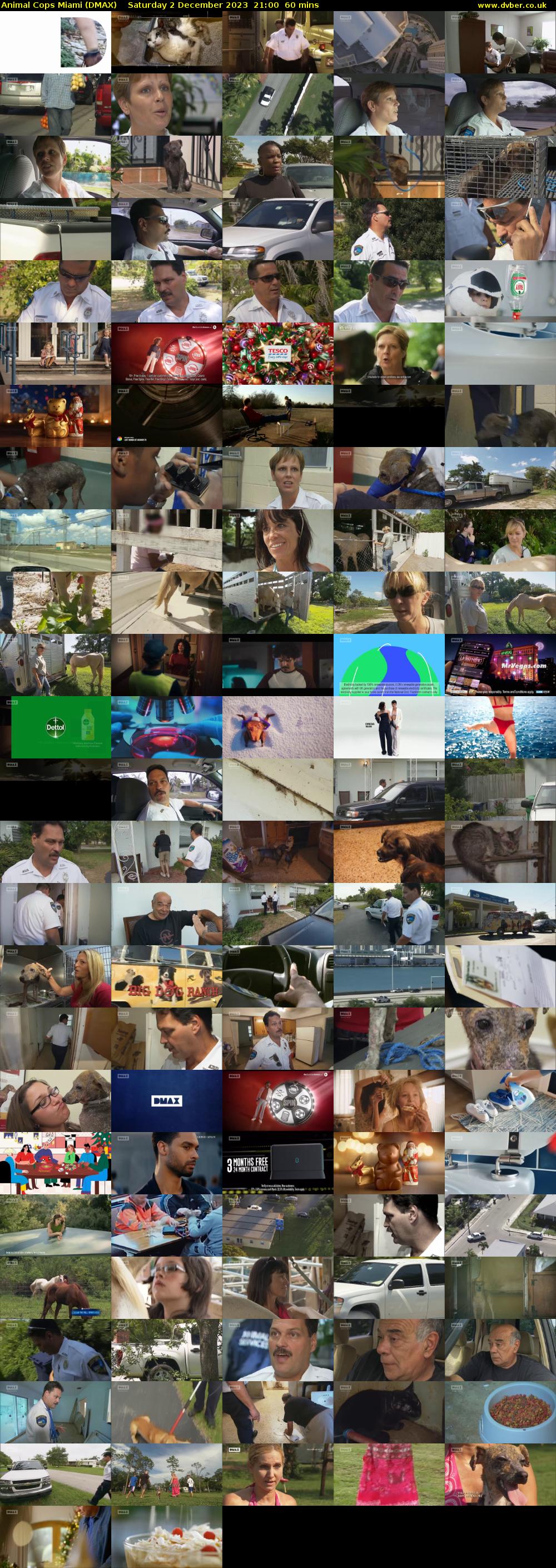 Animal Cops Miami (DMAX) Saturday 2 December 2023 21:00 - 22:00