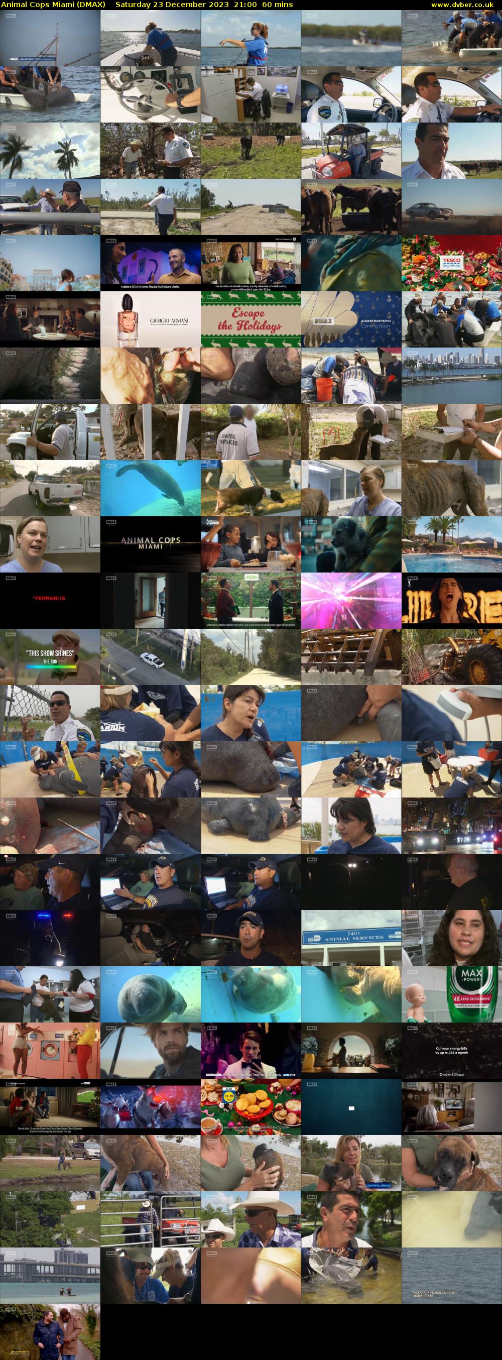 Animal Cops Miami (DMAX) Saturday 23 December 2023 21:00 - 22:00