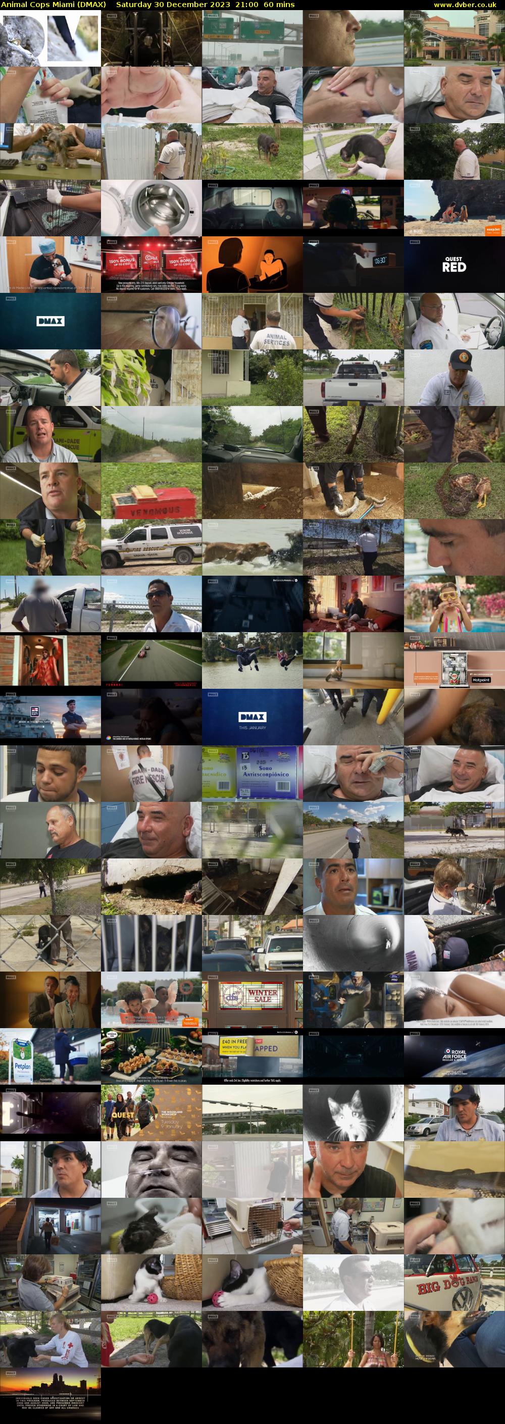 Animal Cops Miami (DMAX) Saturday 30 December 2023 21:00 - 22:00