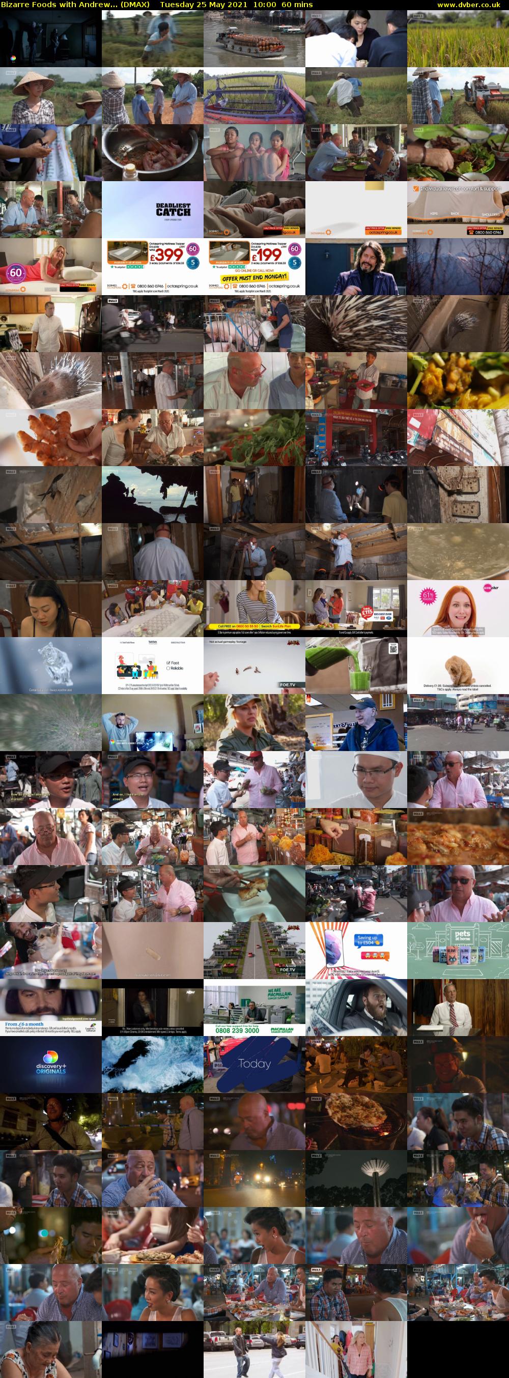 Bizarre Foods with Andrew... (DMAX) Tuesday 25 May 2021 10:00 - 11:00