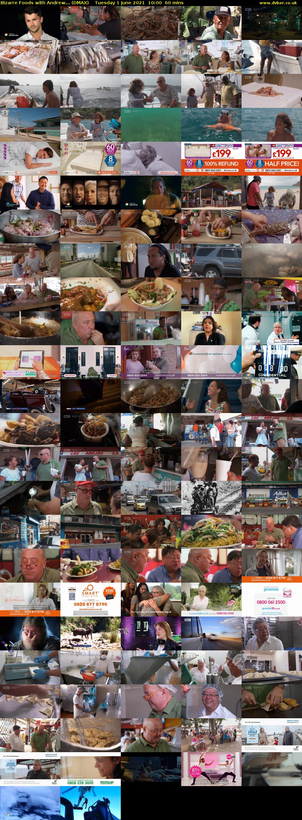 Bizarre Foods with Andrew... (DMAX) Tuesday 1 June 2021 10:00 - 11:00
