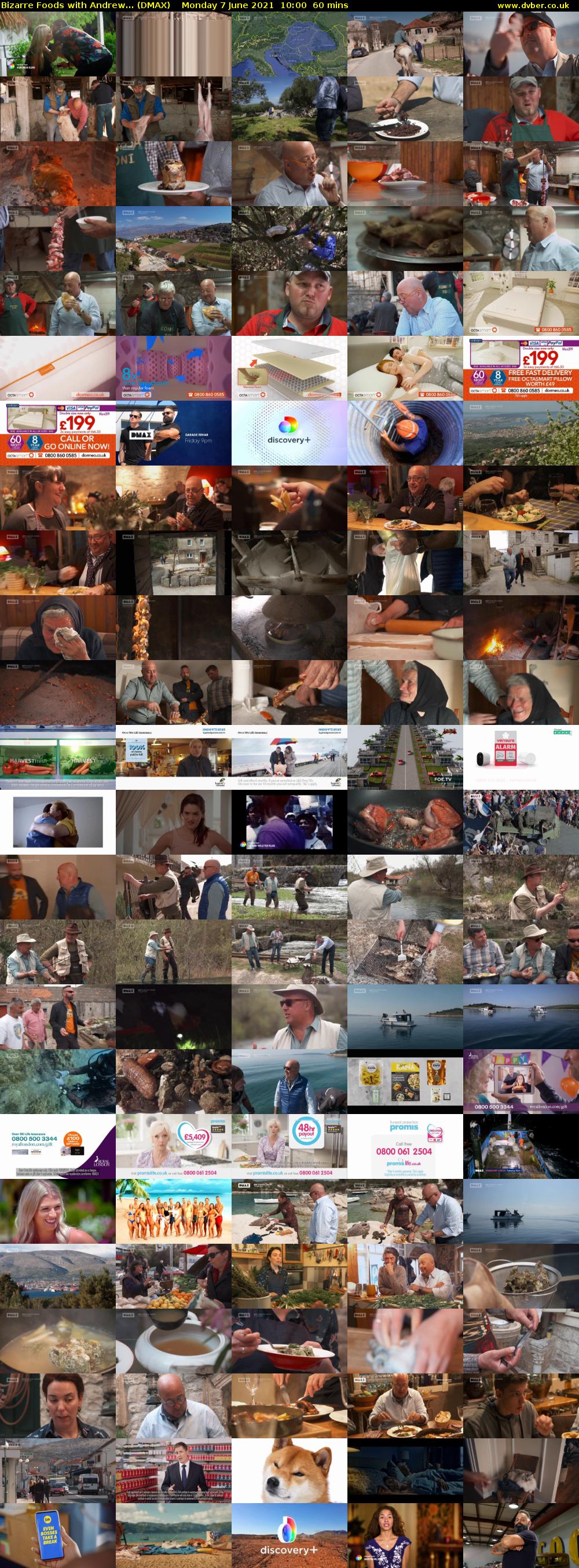 Bizarre Foods with Andrew... (DMAX) Monday 7 June 2021 10:00 - 11:00