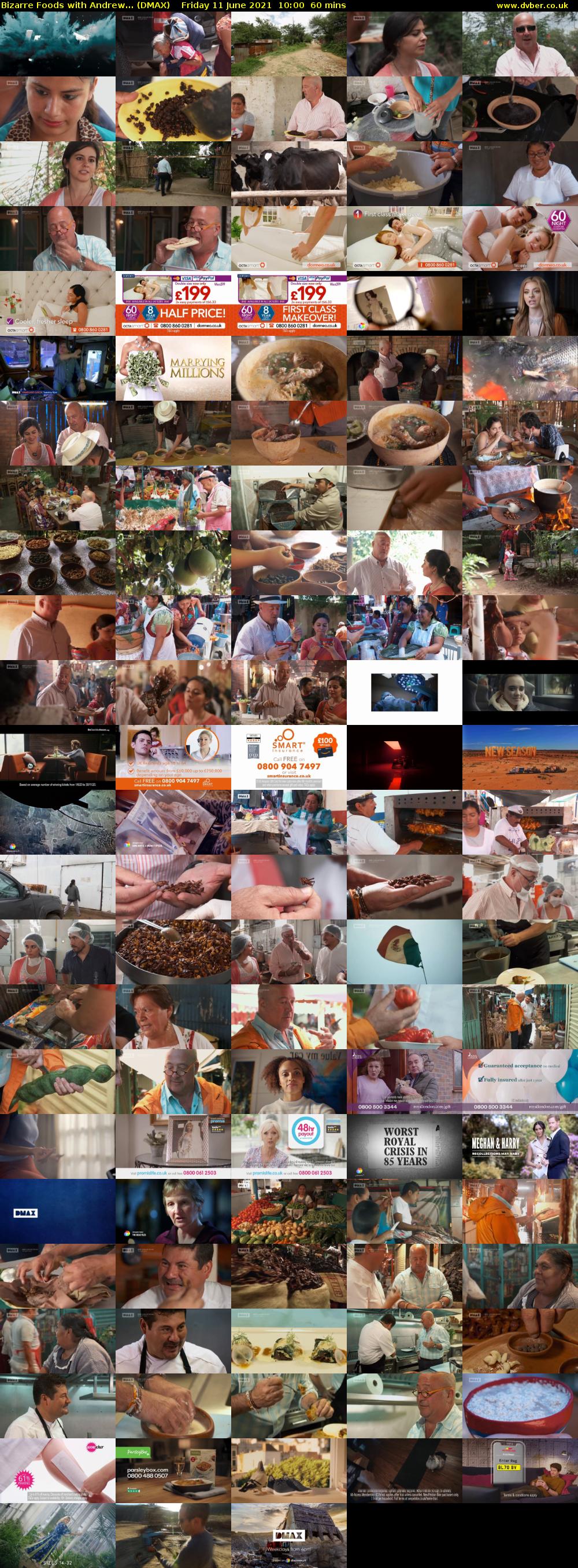 Bizarre Foods with Andrew... (DMAX) Friday 11 June 2021 10:00 - 11:00