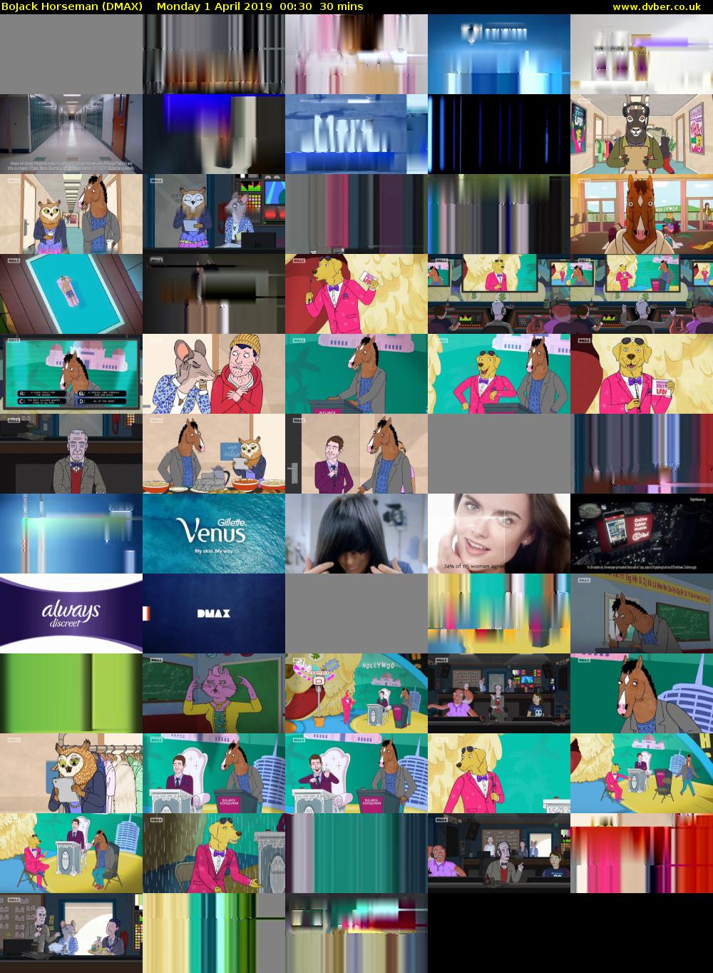 BoJack Horseman (DMAX) Monday 1 April 2019 00:30 - 01:00