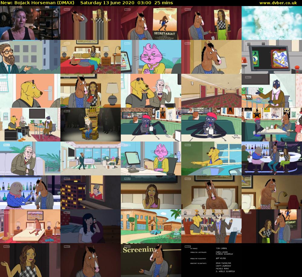 BoJack Horseman (DMAX) Saturday 13 June 2020 03:00 - 03:25