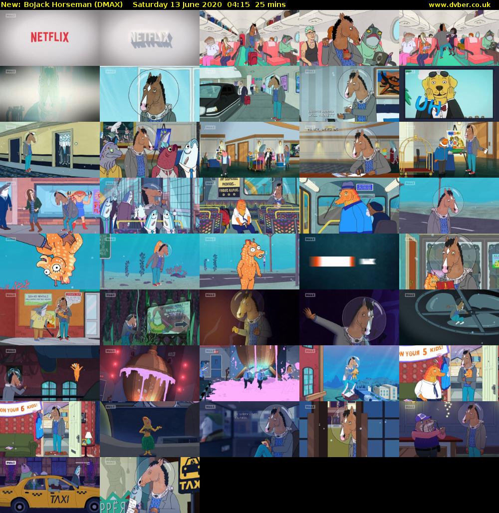 BoJack Horseman (DMAX) Saturday 13 June 2020 04:15 - 04:40